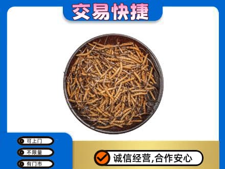潍坊市寿光高价回收散虫草