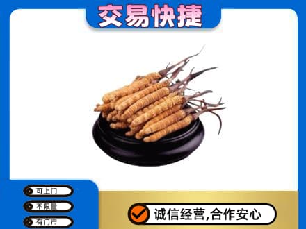 潍坊市寿光礼品回收散虫草.jpg